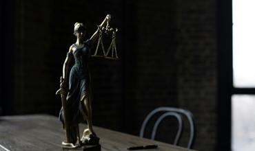 Litigation Services