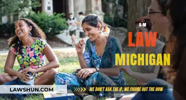 Understanding Michigan's A-M Law: Key Insights and Practical Implications