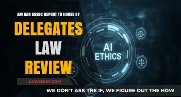 ABA Report to House of Delegates: Law Review Insights and Analysis