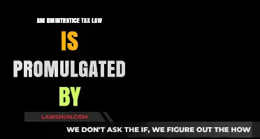 Administrative Tax Law: Who Promulgates It?