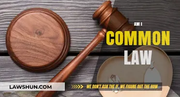What is Common Law and Am I Eligible?