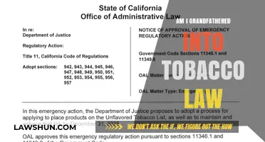 Am I Grandfathered into Tobacco Law? Understanding Exemptions and Regulations