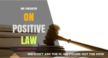 Am I Bound by Positive Law? Exploring Legal Obligations and Duties