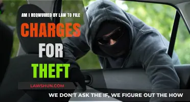 Legal Obligation to File Theft Charges: What You Need to Know