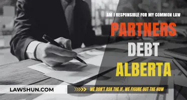 Common-Law Debt: Who's Responsible in Alberta?