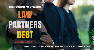 Understanding Debt Liability in Common-Law Relationships