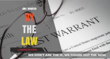 Am I Wanted by the Law? Understanding Legal Notices and Warrants