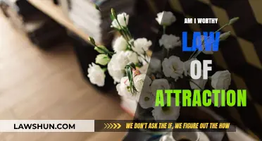 Am I Worthy? Unlocking the Law of Attraction's Power Within