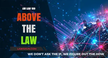 AM Law 100 Firms: Rising Above the Law's Limitations