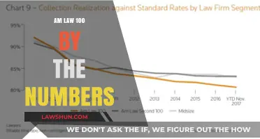 Analyzing the AM Law 100: Key Statistics and Trends Revealed