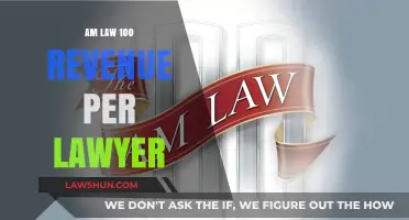 Maximizing Efficiency: Analyzing AM Law 100 Revenue Per Lawyer Trends