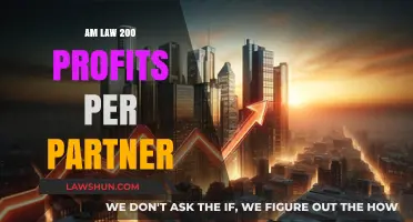 Maximizing Profits: Insights into AM Law 200 Partner Earnings