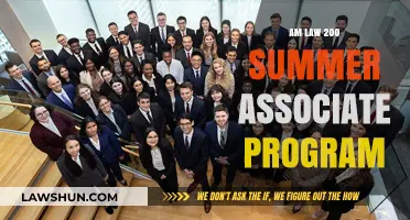 Exploring Legal Careers: AM Law 200 Summer Associate Program Insights