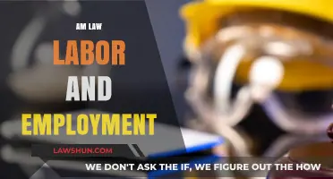 Navigating AM Law: Labor and Employment Insights for Modern Businesses