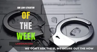 Celebrating Legal Excellence: AM Law Litigator of the Week Spotlight