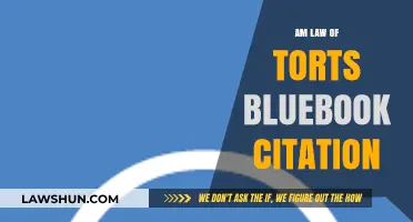 Mastering Bluebook Citations for Am Law of Torts Cases