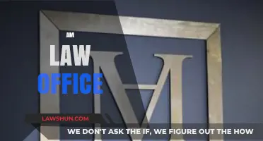 Navigating Legal Excellence: Insights into AM Law Office Practices