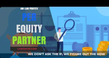 Maximizing Law Firm Profits: Insights on Equity Partner Earnings