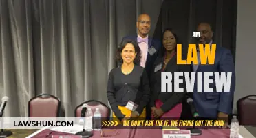 Exploring Legal Insights: The AM Law Review's Impact and Analysis