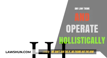 Holistic Legal Practice: Transforming AM Law Firms' Thinking and Operations