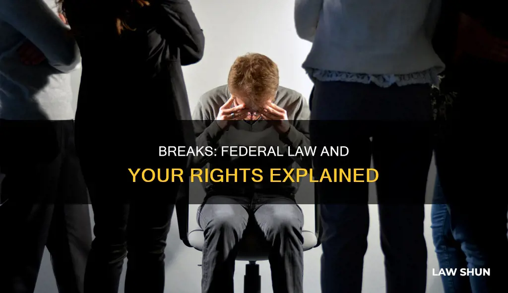 are 10 minute breaks federal law