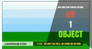 Understanding Second Law Forces: Can They Act on a Single Object?