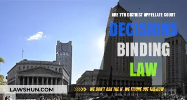 Appellate Court Decisions in the 7th District: Binding Law Explained