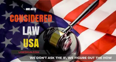 Are Acts Considered Law in the USA? Understanding Legal Frameworks