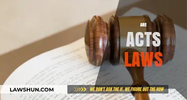 Are Acts Laws? Understanding the Legal Difference and Implications