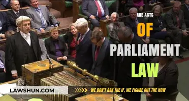 Are Acts of Parliament Law? Understanding UK Legislative Authority
