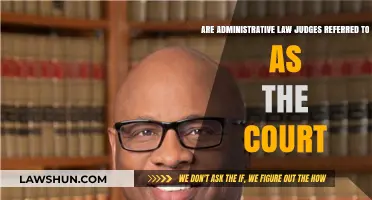 Are Administrative Law Judges Considered a Court? Legal Insights