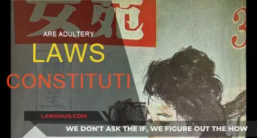 Adultery Laws: Unconstitutional Invasion of Privacy?