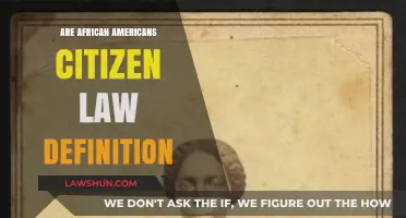 Are African Americans Citizens? Exploring the Legal Definition and History