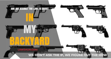 Is Shooting Air Guns in Your Backyard Legal? What You Need to Know