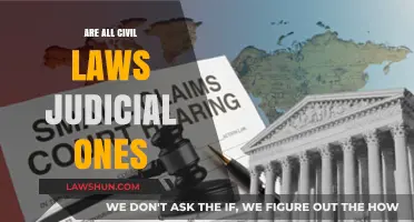 Are All Civil Laws Judicial? Exploring the Legal Dichotomy