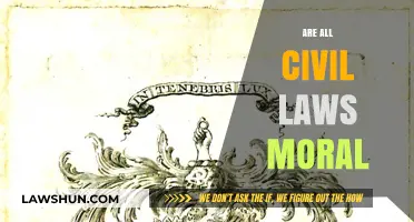 Are Civil Laws Always Moral? Exploring Ethics in Legal Systems