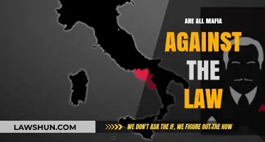 Are Mafia Organizations Always Illegal? Exploring the Legal Gray Areas
