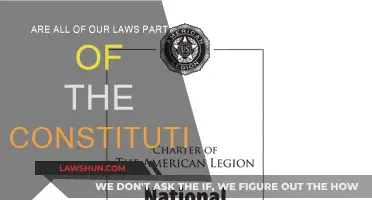Laws and the Constitution: What's the Connection?