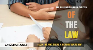 Equality Under the Law: Myth or Reality for All Citizens?