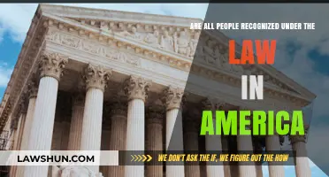 Equal Under the Law? Exploring Legal Recognition in America