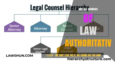 Are All Legal Sources Equally Authoritative? Exploring Law's Hierarchy