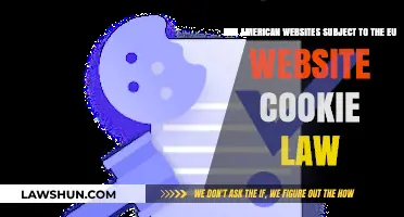 Are American Websites Bound by EU Cookie Law Regulations?