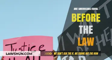 Are Americans Truly Equal Before the Law? Exploring Justice and Inequality