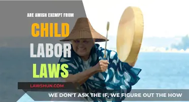 Amish Child Labor Laws: Exemptions and Legal Considerations Explained