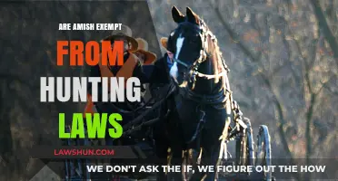 Understanding Amish Hunting Practices: Exemptions and Regulations Explained