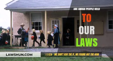 Amish Legal Status: Understanding Their Relationship with U.S. Laws
