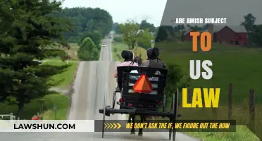 Are Amish Communities Bound by US Law? Exploring Legal Obligations