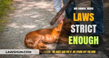 Are Animal Abuse Laws Strict Enough to Protect Innocent Lives?