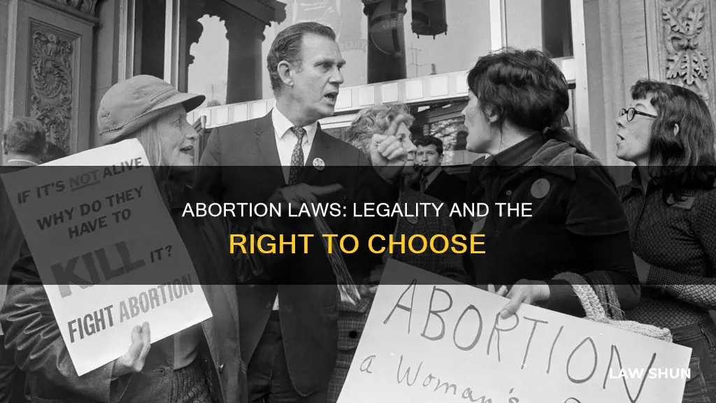 are anti-abortion laws legal