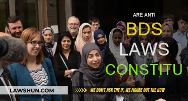 Anti-BDS Laws: Free Speech or Discrimination?